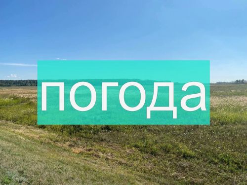 Погода на пятницу 11 августа