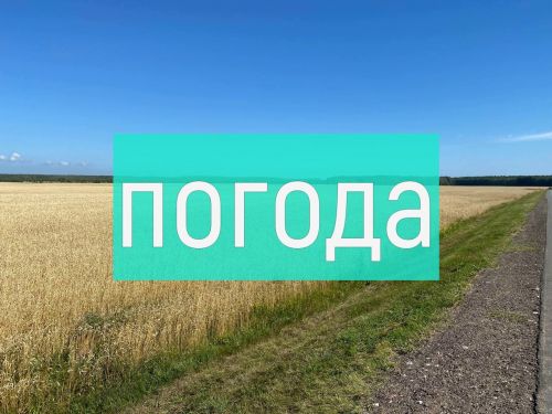 Погода на вторник 15 августа