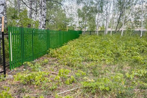 В Болгаре благоустраивается мусульманское кладбище