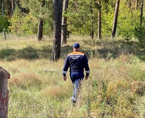 В Татарстане две женщины заблудились в лесу