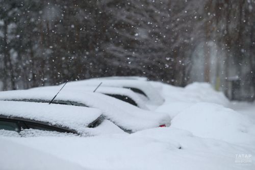 Посевы озимых культур находятся в хорошем состоянии