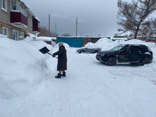 Жители многоквартирного дома в Болгаре своими силами очистили придомовую территорию