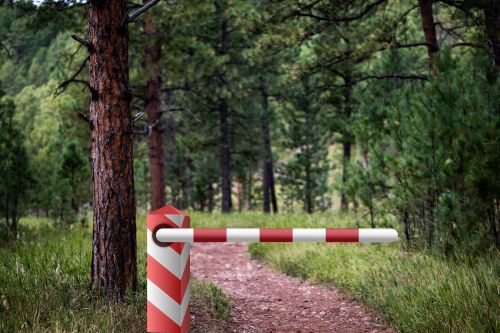 В Татарстане временно запретили посещение лесов из-за высокой пожарной опасности