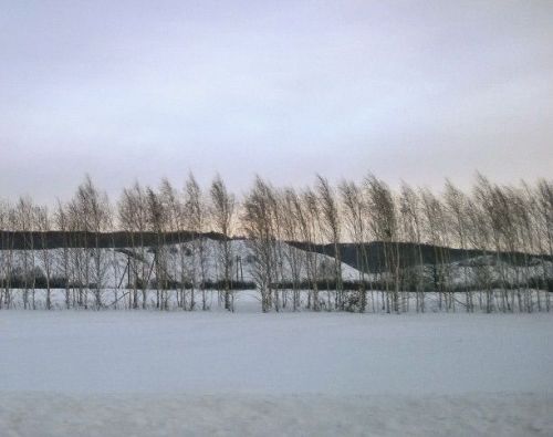 Прогноз погоды в Спасском районе на 24 января