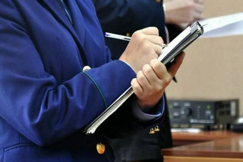 В Спасском районе водителя грузовика будут судить за смертельное ДТП