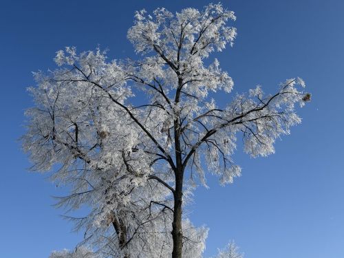 24 февраля – Власьев день: народные приметы и запреты