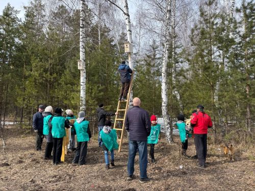 Школьники развесили скворечники в лесном массиве в Болгаре