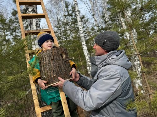 Школьники развесили скворечники в лесном массиве в Болгаре