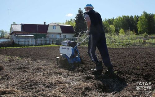 На приведение земель в надлежащий вид владельцам дают три года