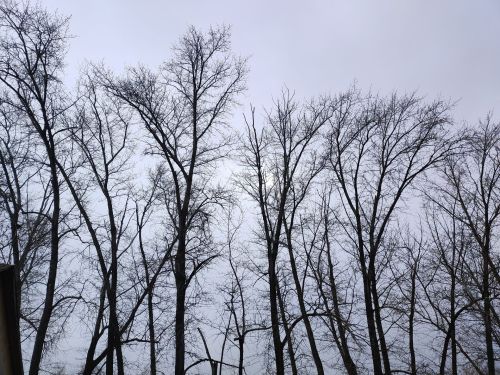 Погода в Татарстане вернулась к норме после аномального тепла