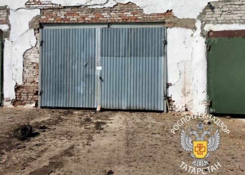 Молочную ферму в Татарстане закрыли из-за бруцеллёза