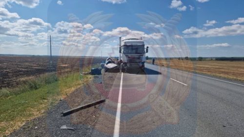 Водитель и пассажир иномарки погибли в ДТП в Алексеевском районе Татарстана