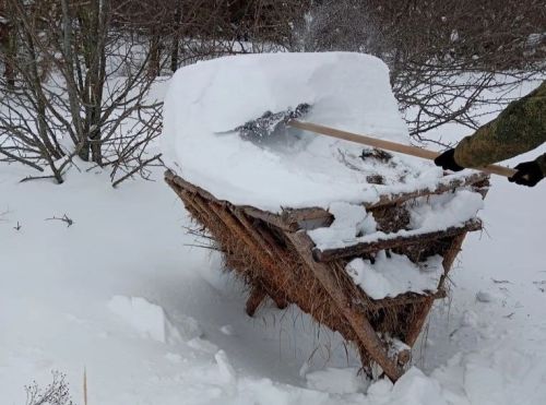 В Спасском районе диким животным помогают пережить аномально снежную зиму