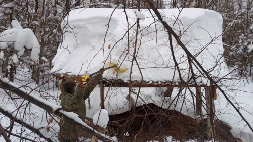 В Спасском районе диким животным помогают пережить аномально снежную зиму