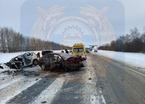 Два человека погибли в лобовом столкновении иномарок в Чистопольском районе Татарстана