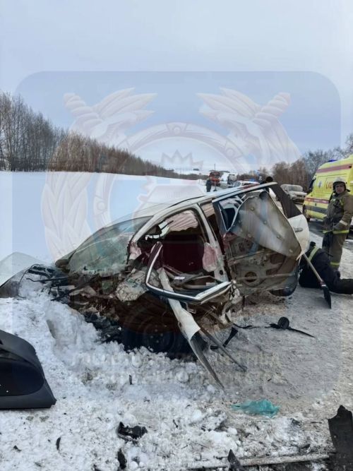 Два человека погибли в лобовом столкновении иномарок в Чистопольском районе Татарстана