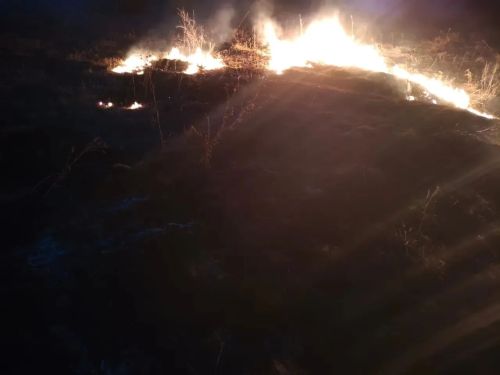 В Спасском районе произошло возгорание сухой травы