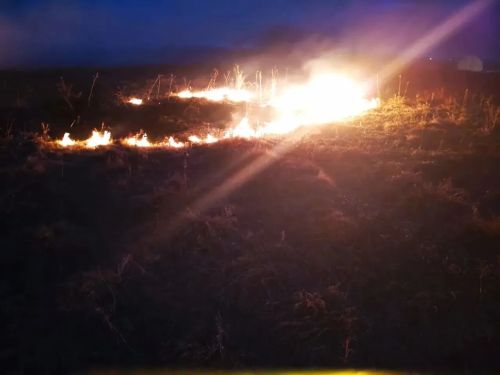В Спасском районе произошло возгорание сухой травы