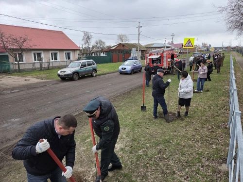 В Болгаре высадили деревья в память о жертвах Чернобыльской катастрофы