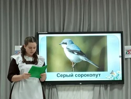 Специалисты заказника «Спасский» провели уроки ко Дню птиц в Нурлатском и Алексеевском районах