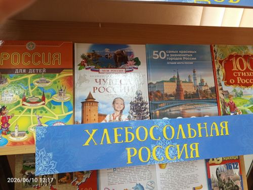 В детской библиотеке Болгара прошёл патриотический квиз, посвящённый Дню России