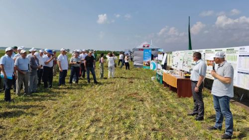 Делегация Спасского района приняла участие в зональном семинаре по вопросам урожая в Чистополе