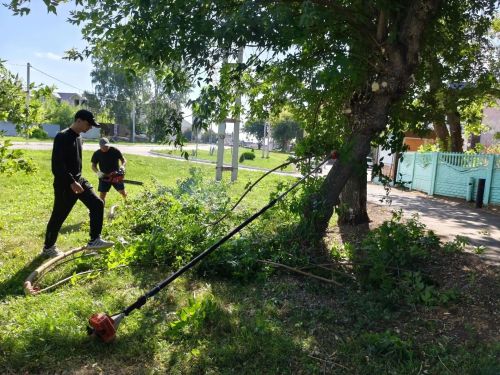 В Болгаре на неделю перекроют улицу из-за вырубки деревьев