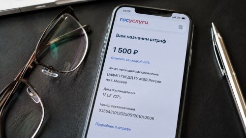 Минюст Татарстана объяснил, как разобраться со штрафами на «Госуслугах»