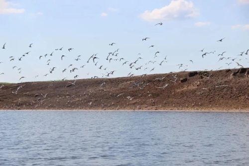 Скауты со всей России увидели природу заказника «Спасский» с воды