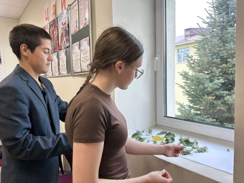Ученики первой городской школы собрали травяной чай для бойцов СВО