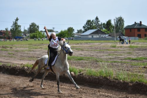 Конные скачки
