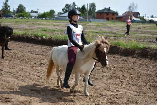 Конные скачки