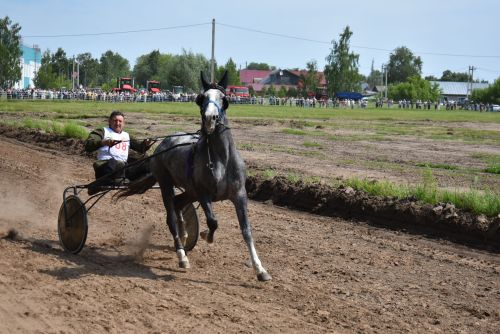 Конные скачки