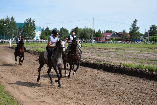 Конные скачки