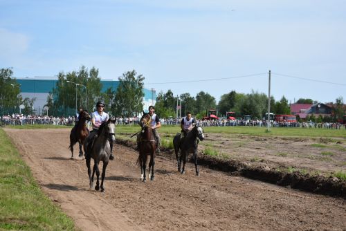 Конные скачки