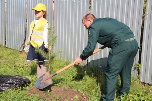 В первой школе Болгара прошла природоохранная акция "Посади дерево!".