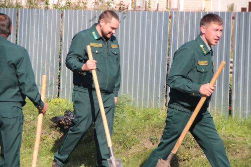В первой школе Болгара прошла природоохранная акция "Посади дерево!".
