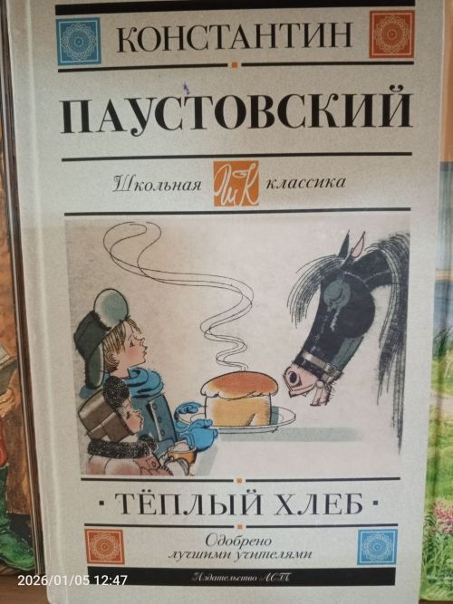 В детской библиотеке Болгара открылись новые книжные выставки