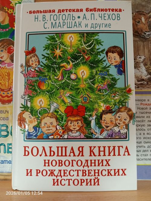 В детской библиотеке Болгара открылись новые книжные выставки