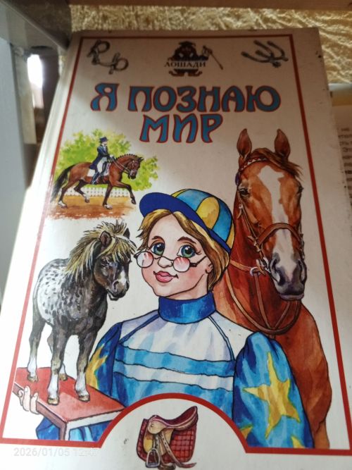 В детской библиотеке Болгара открылись новые книжные выставки