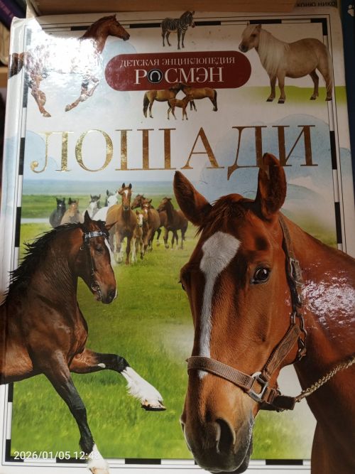 В детской библиотеке Болгара открылись новые книжные выставки