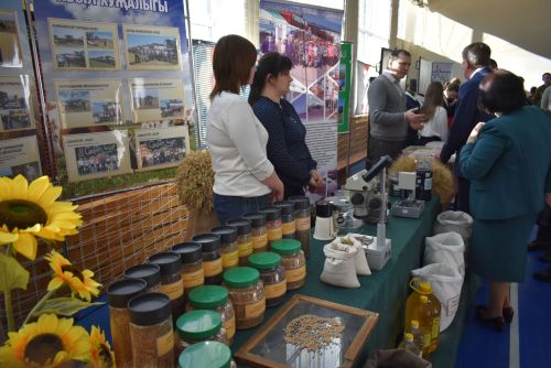 В Болгаре прошла итоговая сессия Совета района 2026