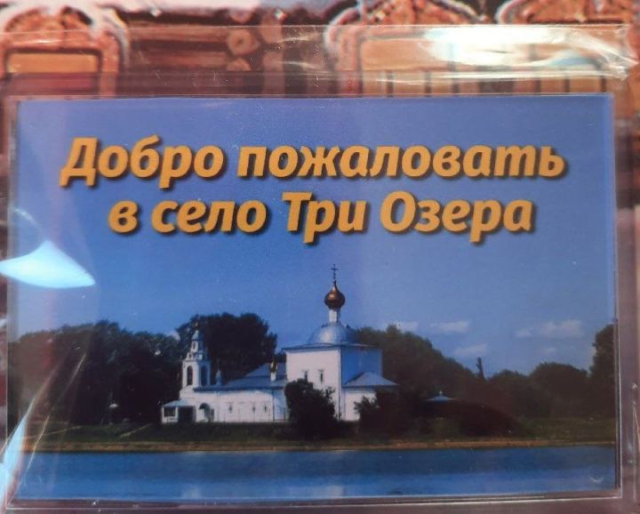 В Трёхозёрской библиотеке состоялся семинар «Сельская библиотека: виртуальный формат»