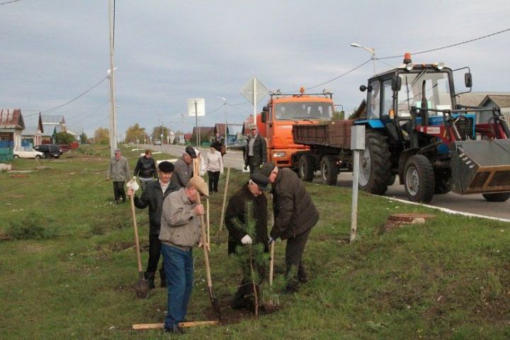 В Спасском районе прошёл День посадки леса