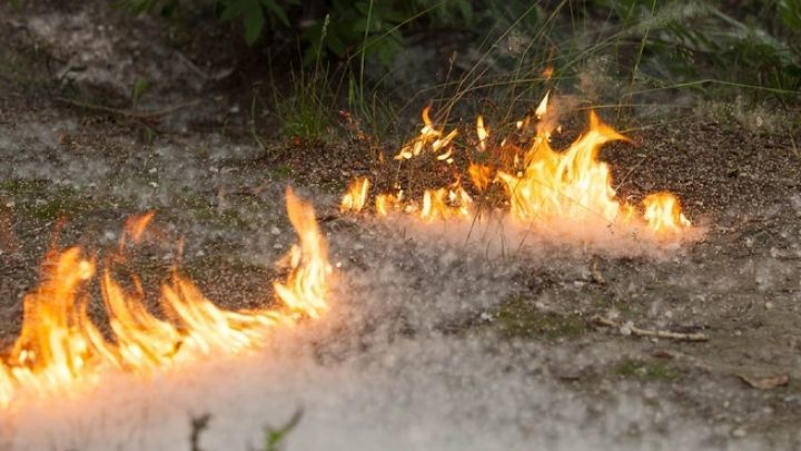 Три случая возгорания тополиного пуха произошло в Болгаре