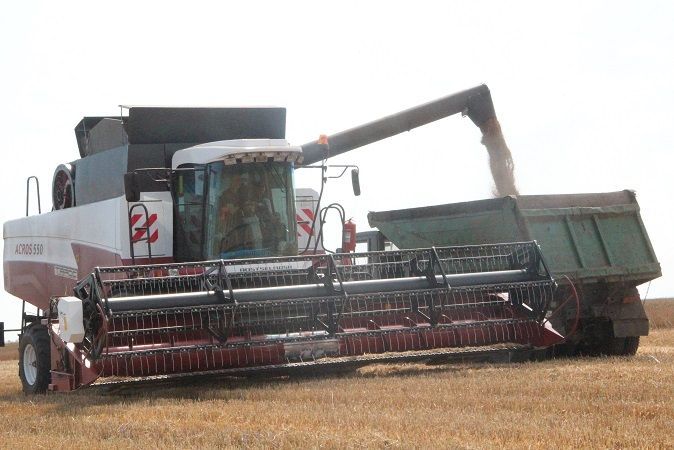 Спасские механизаторы ведут обмолот озимой пшеницы
