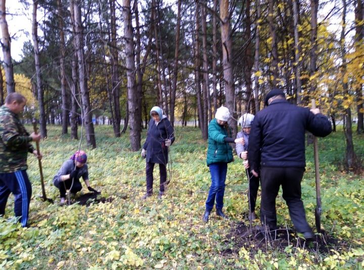 Жители Аграмаковки Спасского района приняли участие в акции "День посадки леса" (ФОТО)