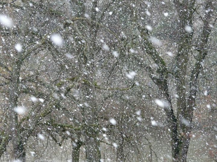 В Татарстане ожидается снег и метель