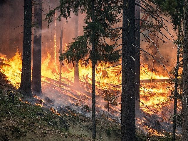 С 15 апреля в Татарстане устанавливается пожароопасный период