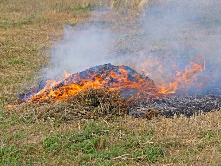 В Спасском районе зафиксированы случаи возгорания сухой травы
